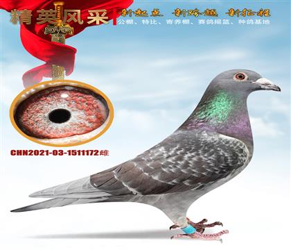 �ܷ��¿ˡ�����72��