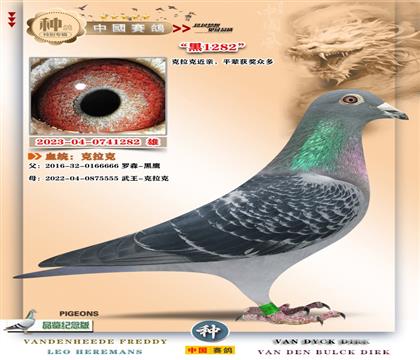 12-�����˾ży��+�R���_ɭ˹