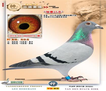 13+�����˹����ِ25��+�����܊ƽ݅