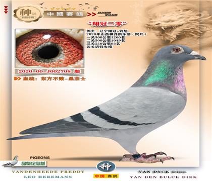 15-ɽ������3000�ر�+�|��������P(gu��n)�|������