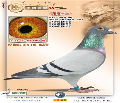 16-ɽ������3000�ر�+�|��������P(gu��n)�|������