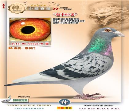 17-��(��i)������82��+95��-����һ����