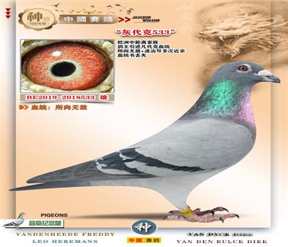 19-����o(w��)��+�����˽��H