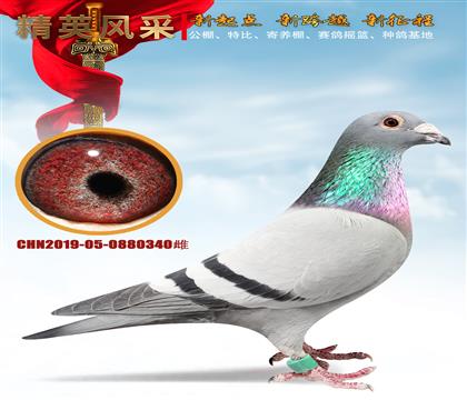 ����ǿ���ҵ ����ѫ��