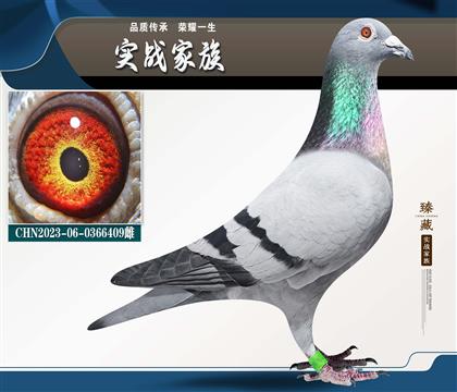 �ٰ���-�\�n�C