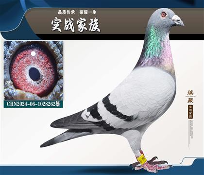 ɣ��ʿ-�����A�X����