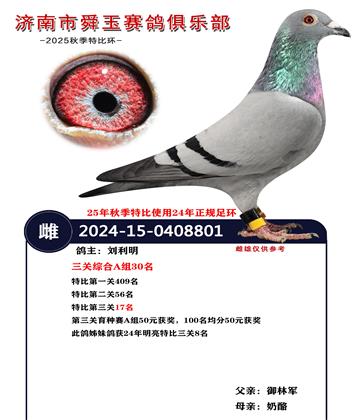 �����ۺ�A��30��