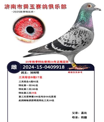 �����ۺ�B��17��  A��92��