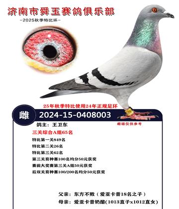 �����ۺ�A��65��