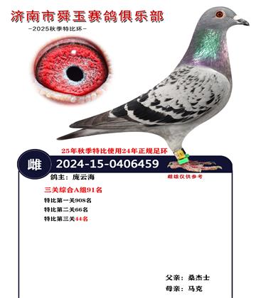 �����ۺ�A��91��