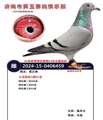 �����ۺ�A��91��