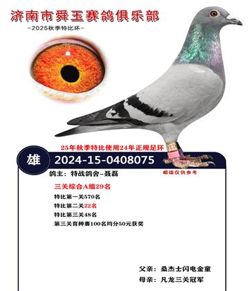 �����ۺ�A��29��