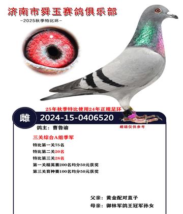 �����ۺ�A�鼾��