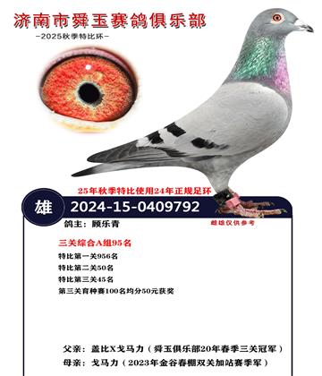 �����ۺ�A��95��