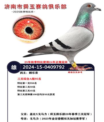 �����ۺ�A��95��