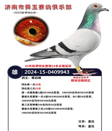 �رȵ�����23��