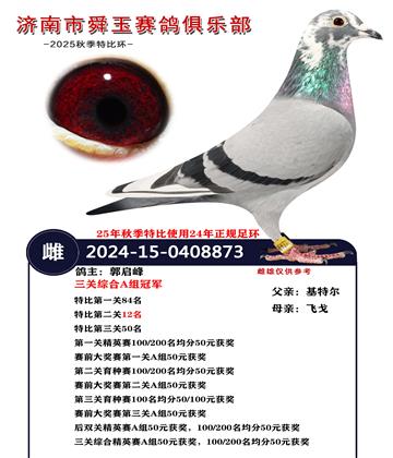 �����ۺ�A��ھ�