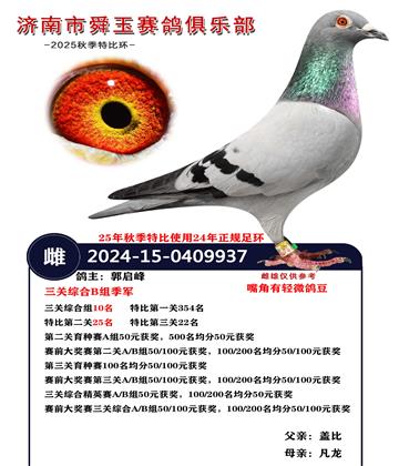 �����ۺ�B�鼾��  A��10��