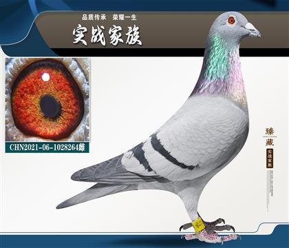 �����A�Xϵ-ɣ��ʿ