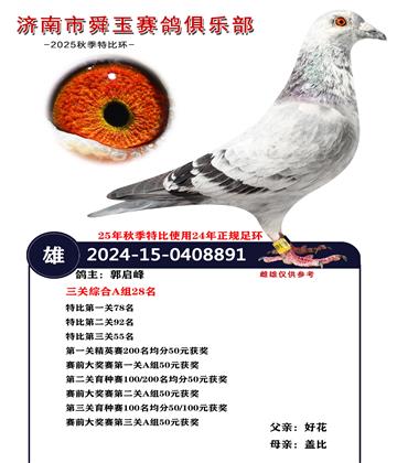 �����ۺ�A��28��