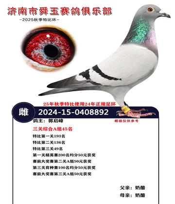 �����ۺ�A��45��