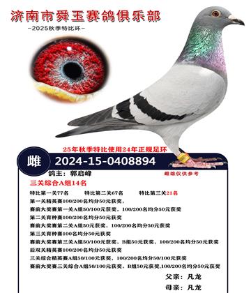 �����ۺ�A��14��