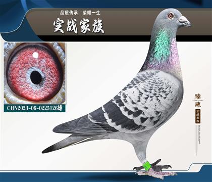 ɣ��ʿ С���16��