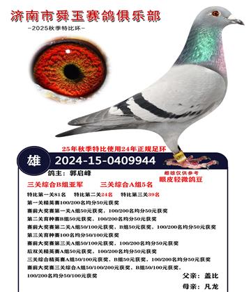 �����ۺ�B���Ǿ�  A��5��