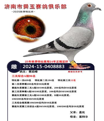 �����ۺ�A��96��