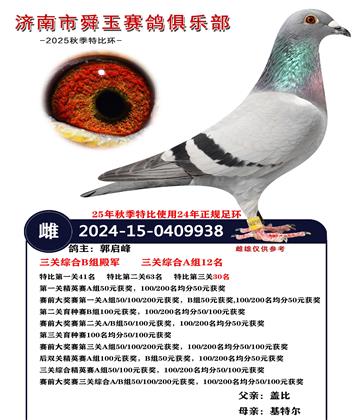 �����ۺ�B����   A��12��