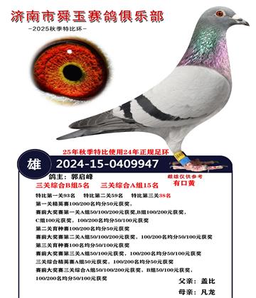 �����ۺ�B��5��   A��15��