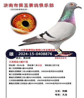 �����ۺ�A��37��