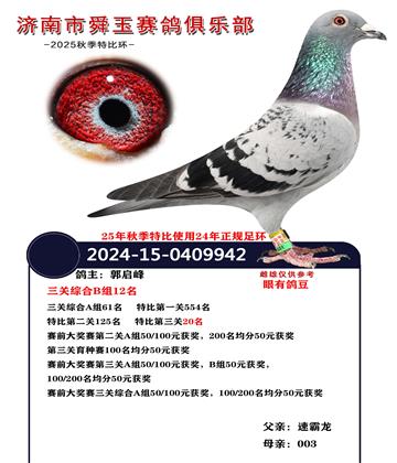 �����ۺ�B��12��  A��61��