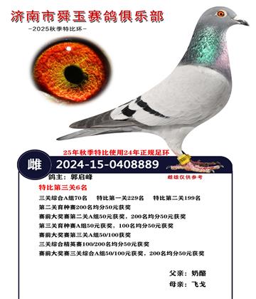 �����ۺ�A��70��