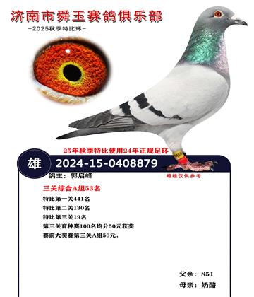 �����ۺ�A��53��