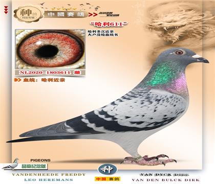 21-�������H��