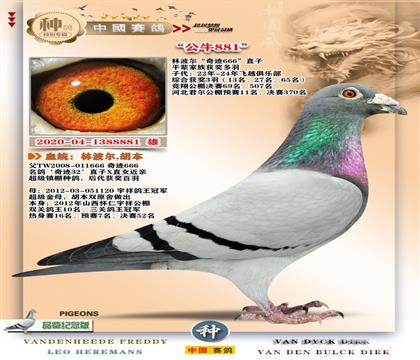 23-�ֲ������E666֮��-881