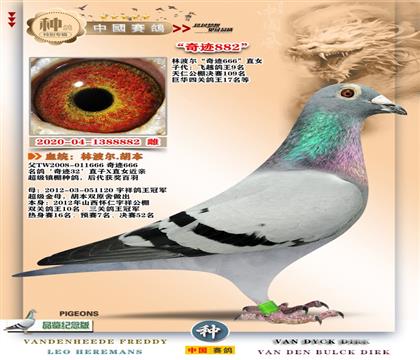 24-�ֲ������E666ֱŮ-882