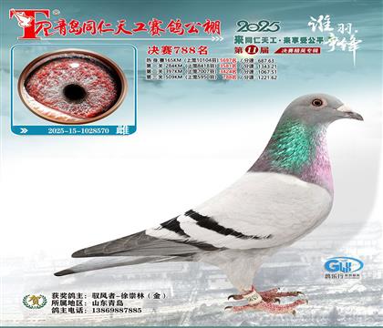 ���uͬ���칤�Qِ788��