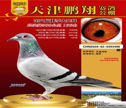 ����Qِ136��