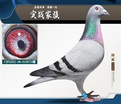 ��h(hu��n) ����240