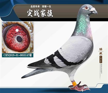 �L�����I(y��)���Rِ����ֱ�O