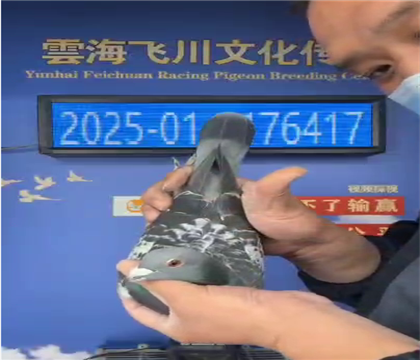 �ƺ��w�������վِ702����2023��ͨ������616��ȫƽ݅