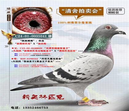 <�������>���W�W��ƥ��