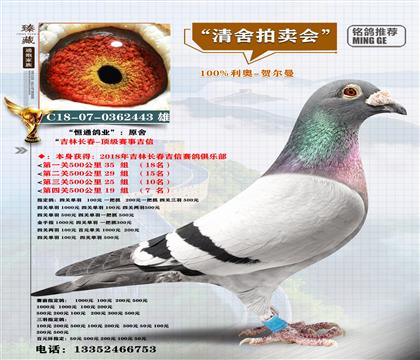 <���żĘ�>ͨ��С��