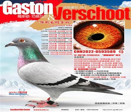 KBDB����ֱŮ