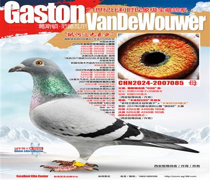 �ŵ����@ʯ����