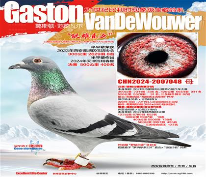 �y�ۑ�(zh��n)��ֱŮ