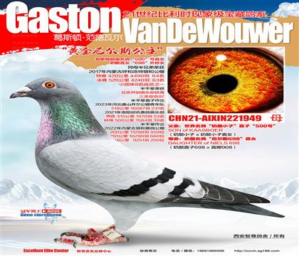 ����500ֱ̖Ů