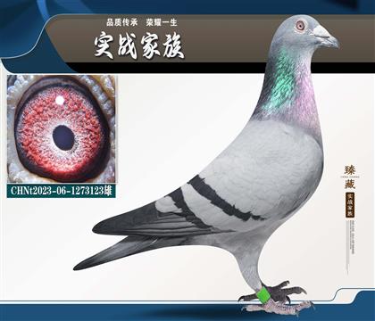 ����̖-��h(hu��n)123